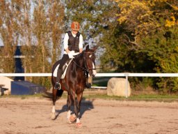 IMG_7724_web
